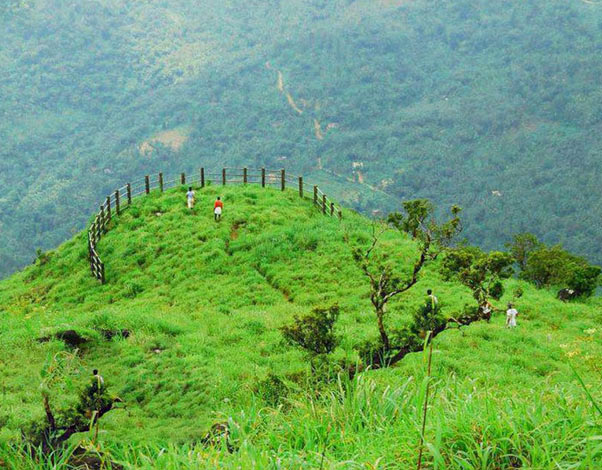 Best Places to Visit In Kakkayangad